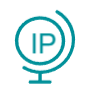 Domain into IP